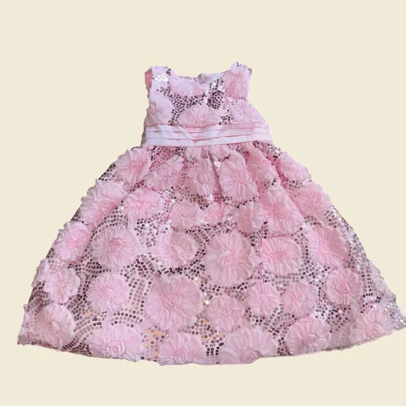 open lace back dress Fox Dress with Long Sleeves Pettiskirt Lace Princess Dress  Foxbackdrop